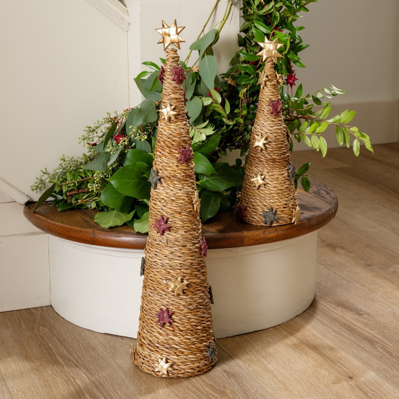Bangladesh Tree Cone L Hogla/Sari/Paper 21H Nat/Multi