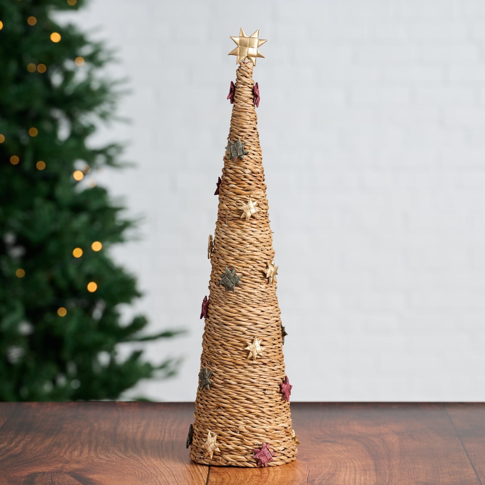 Bangladesh Tree Cone L Hogla/Sari/Paper 21H Nat/Multi