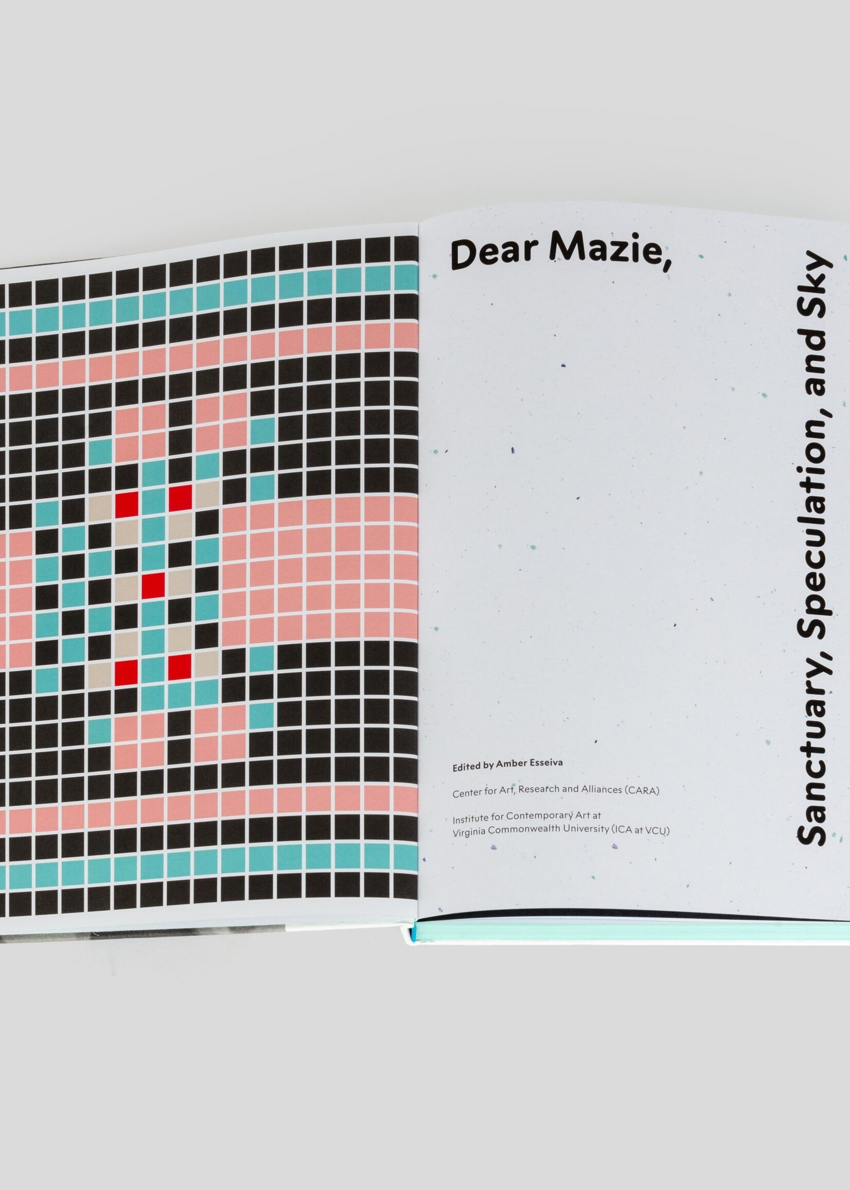 CARA Dear Mazie, : Sanctuary, Speculation, and Sky