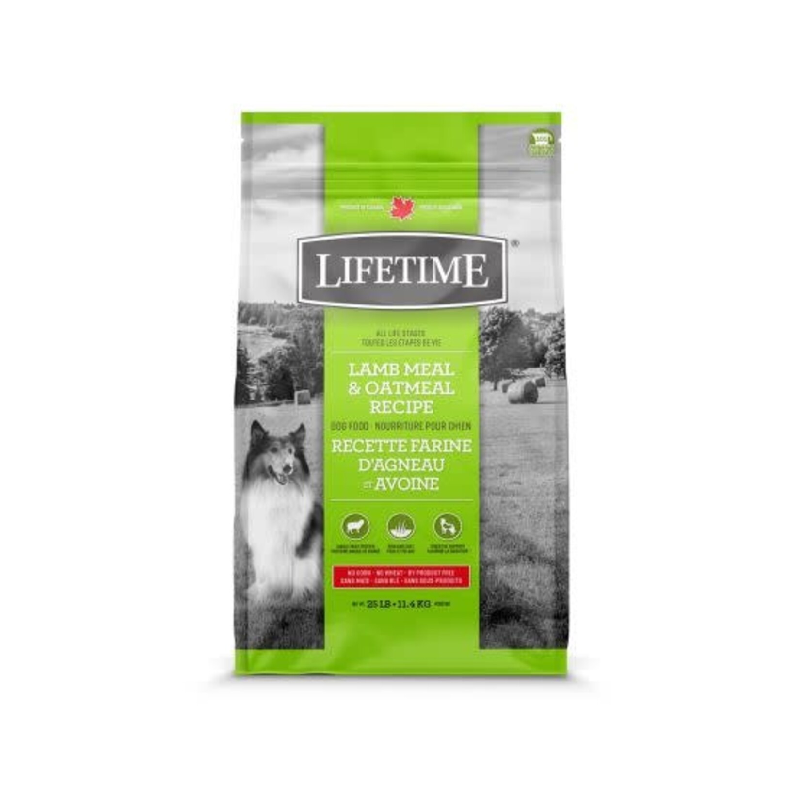 Lifetime Lifetime Agneau & Avoine Chien