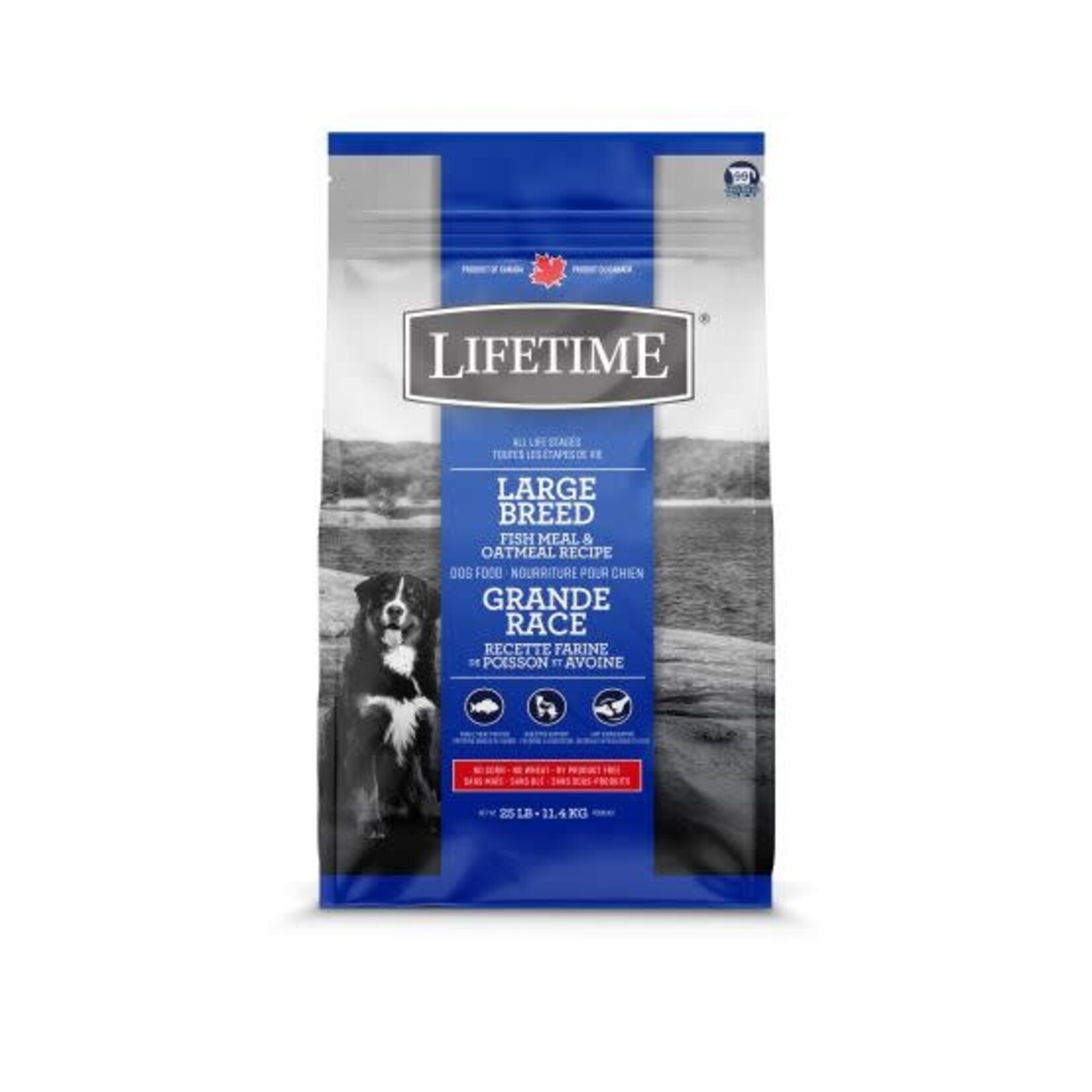 Lifetime Lifetime Poisson Grande Race Chien