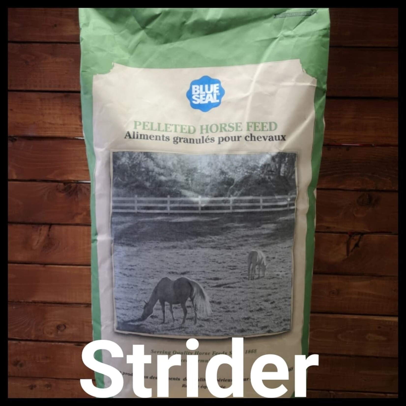 Blue Seal Blue Seal Inspire Strider 22.68 kg