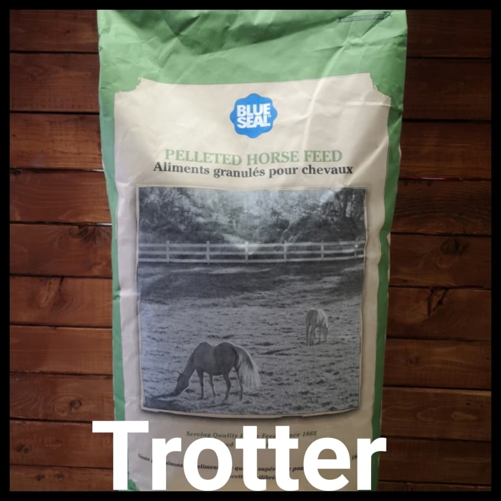 Blue Seal Blue Seal Inspire Trotter 22.68 kg