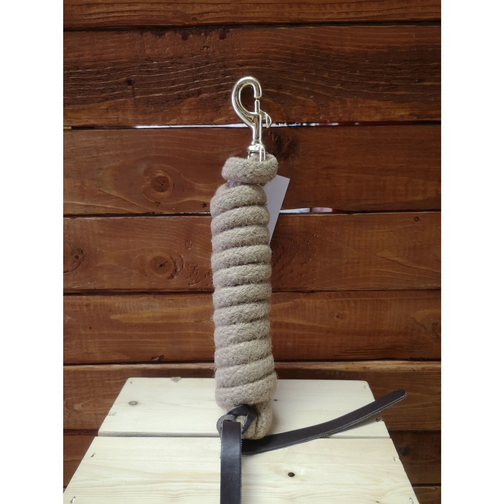 Western Rawhide Laisse en jute avec bout en cuir 9"