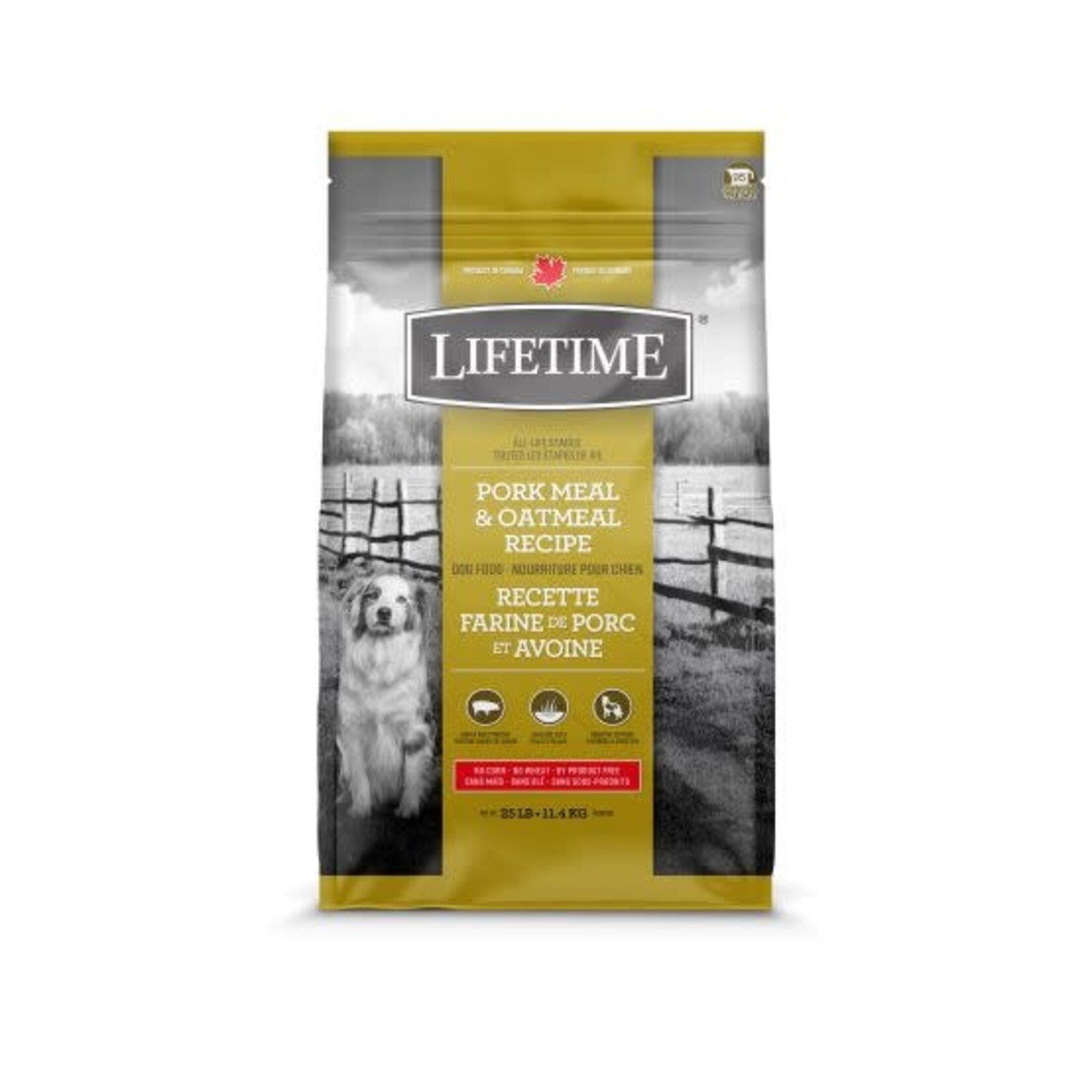 Lifetime Lifetime Porc & Avoine Chien