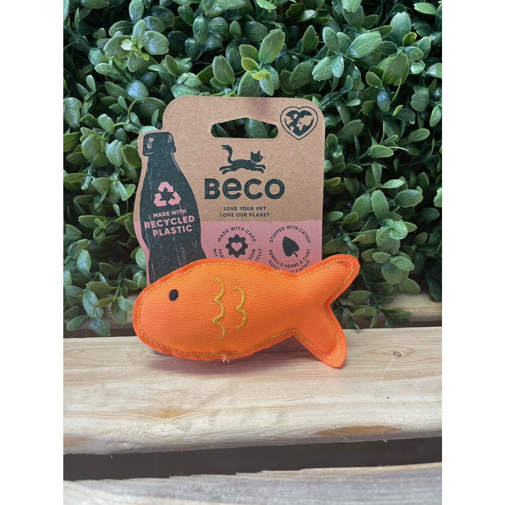 Béco Béco Poisson