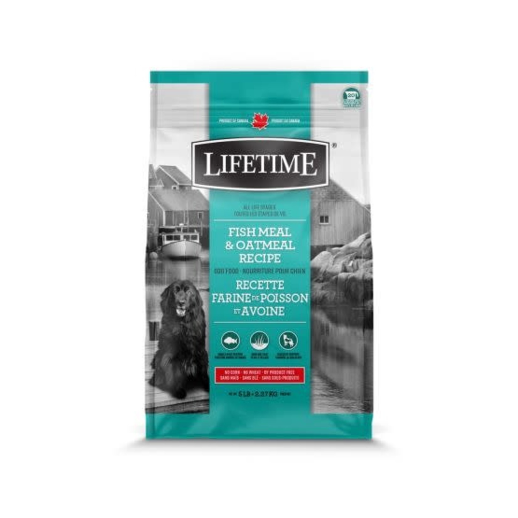 Lifetime Lifetime Poisson & Avoine Chien