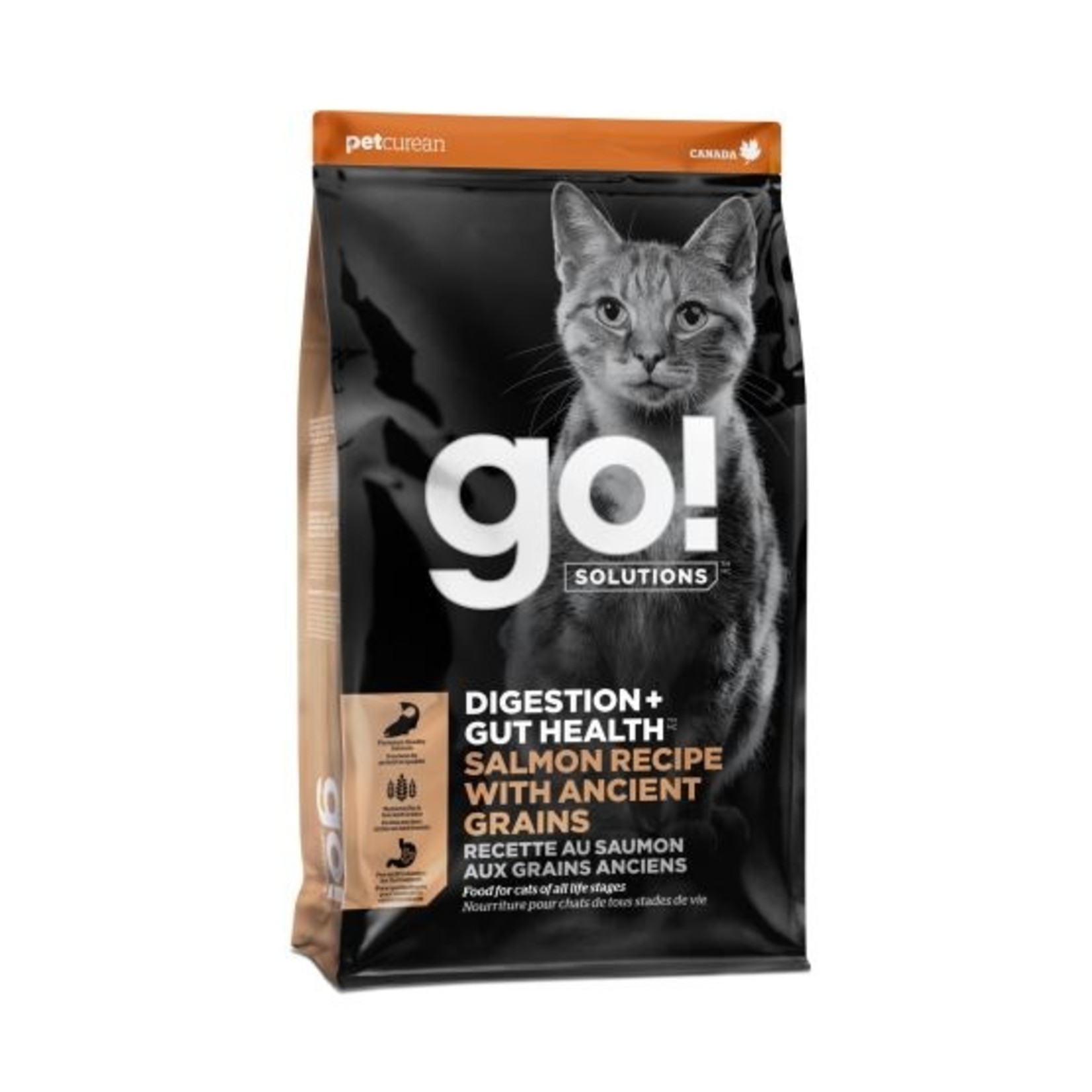 Petcurean Go Go Digestion aux grains anciens chat saumon