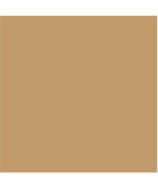Vallejo DISCONTINUED: Vallejo Model Color 70.912 Tan Yellow 17ml :DISCONTINUED