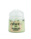 Citadel Dry Nurgling Green 12ml pot Citadel Dry Nurgling Green 12ml pot