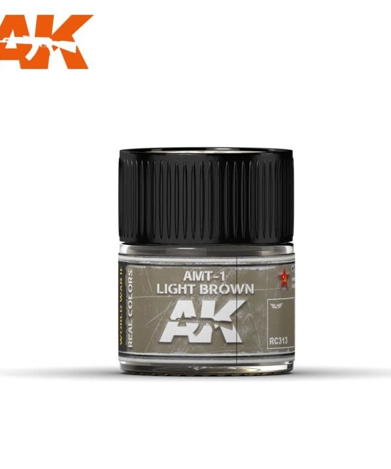 AK Interactive AK RC313 Real Colors AMT-1 Light Brown 10ml