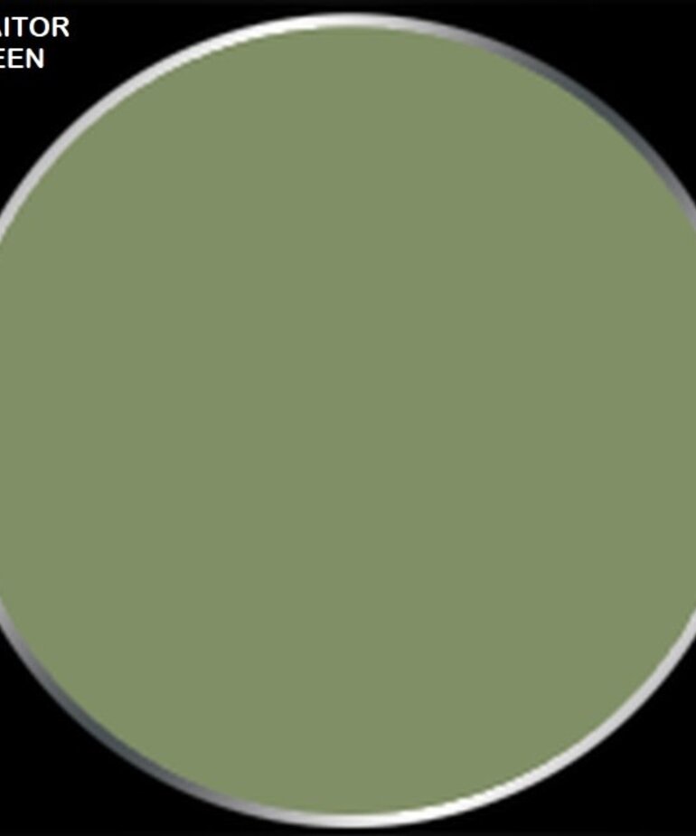 Privateer Press Formula P3 PIP 93037 Traitor Green 18ml