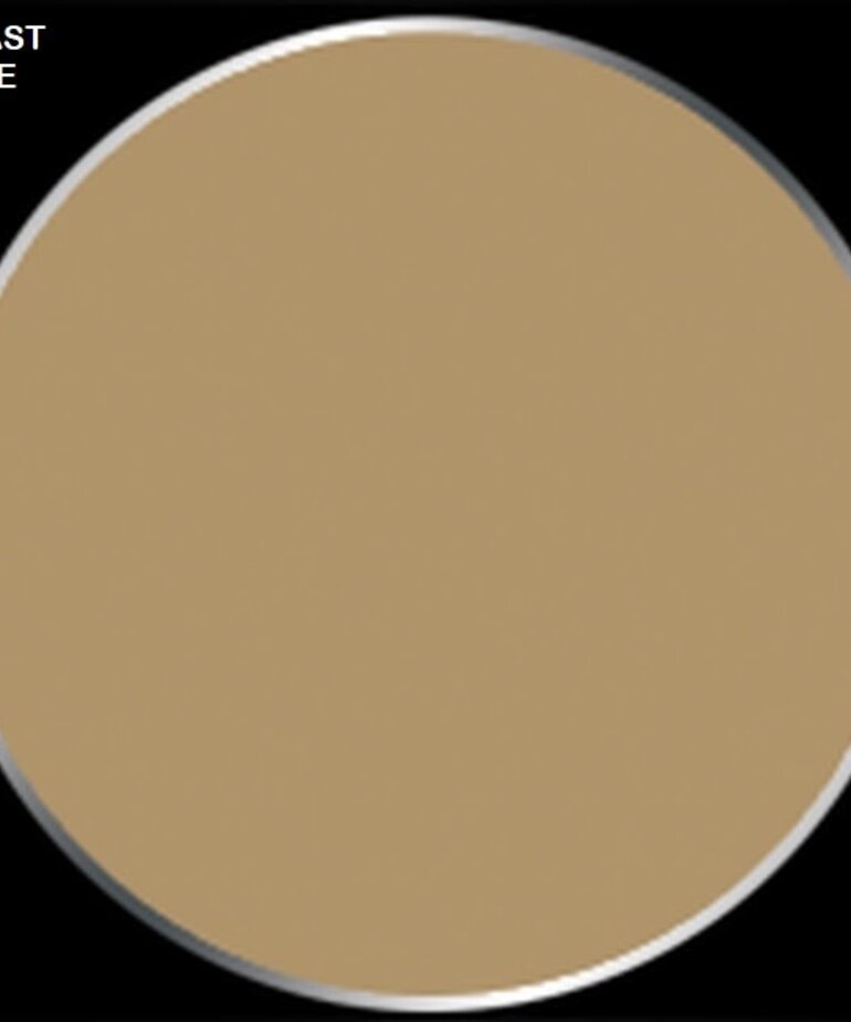 Privateer Press Formula P3 PIP 93056 Beast Hide 18ml