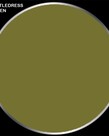 Privateer Press Formula P3 PIP 93060 Battledress Green 18ml