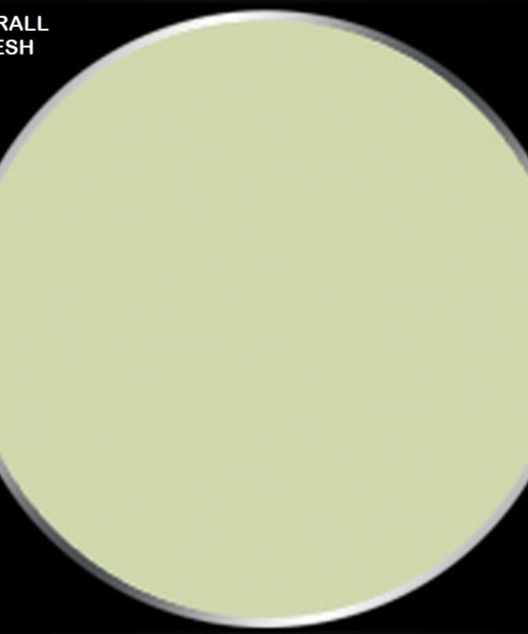 Privateer Press Formula P3 PIP 93071 Thrall Flesh 18ml