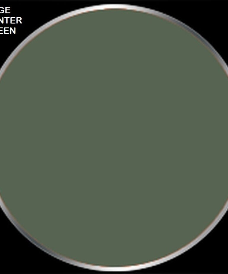 Privateer Press Formula P3 PIP 93126 Mage Hunter Green 18ml