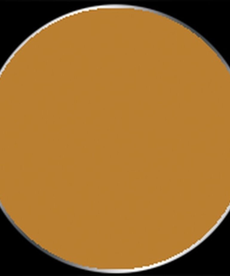 Privateer Press Formula P3 PIP 93139 Bogrin Brown 18ml