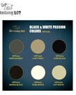 Abteilung 502 Abteilung 502 Dense Acrylic ABT1164 Black & White Passion Colors (6) Set