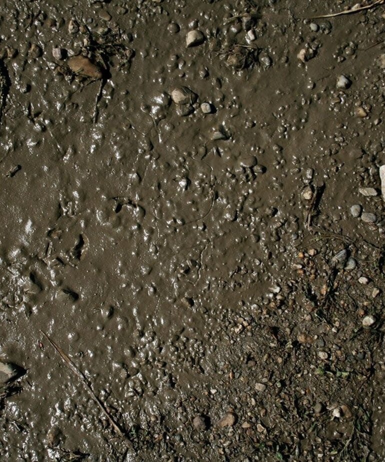 AK Interactive AK8016 Diorama - Terrains Wet Ground 250ml