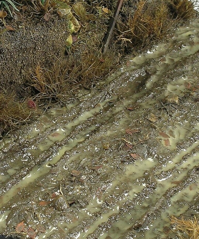 AK Interactive AK8016 Diorama - Terrains Wet Ground 250ml