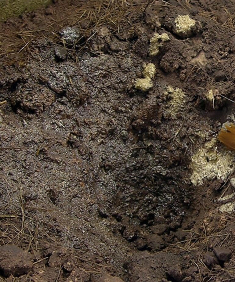 AK Interactive AK8017 Diorama - Terrains Muddy Ground 250ml