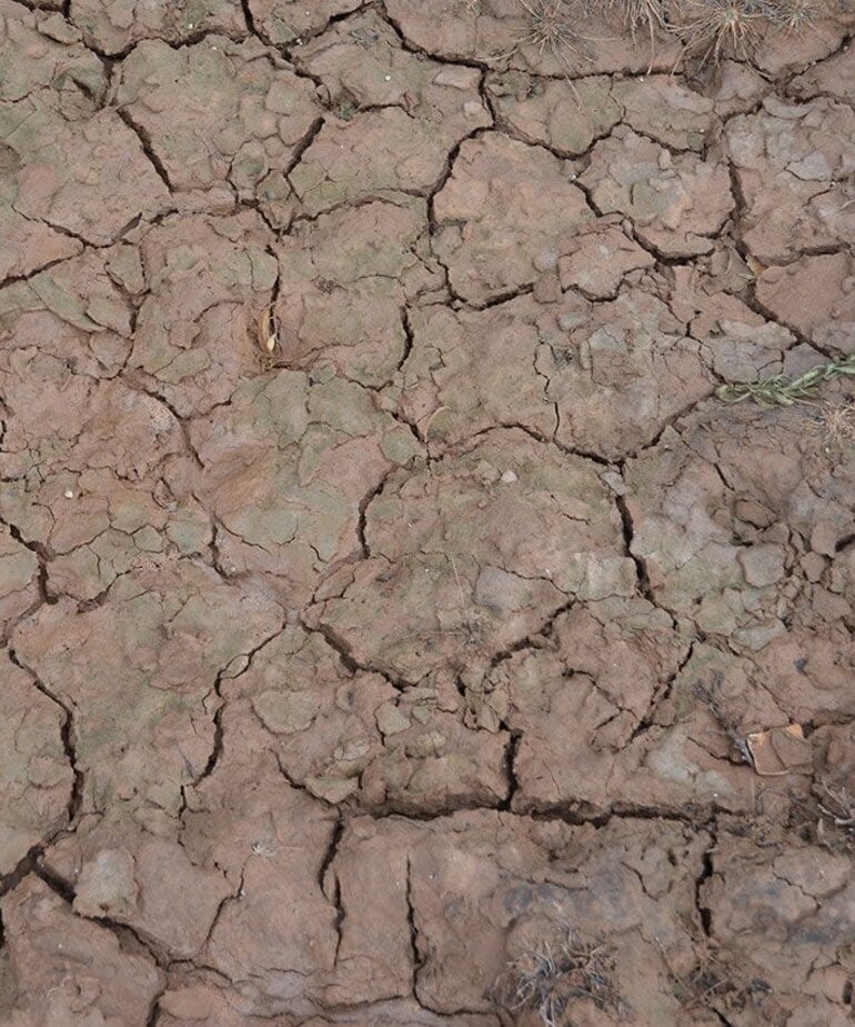 AK Interactive AK8034 Diorama - Wet Crackle Effects 100ml