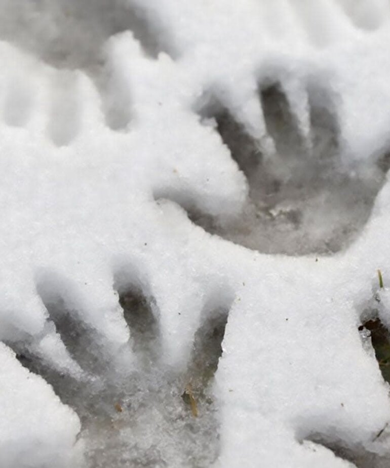 AK Interactive AK8037 Diorama - Ice Sparkles 100ml