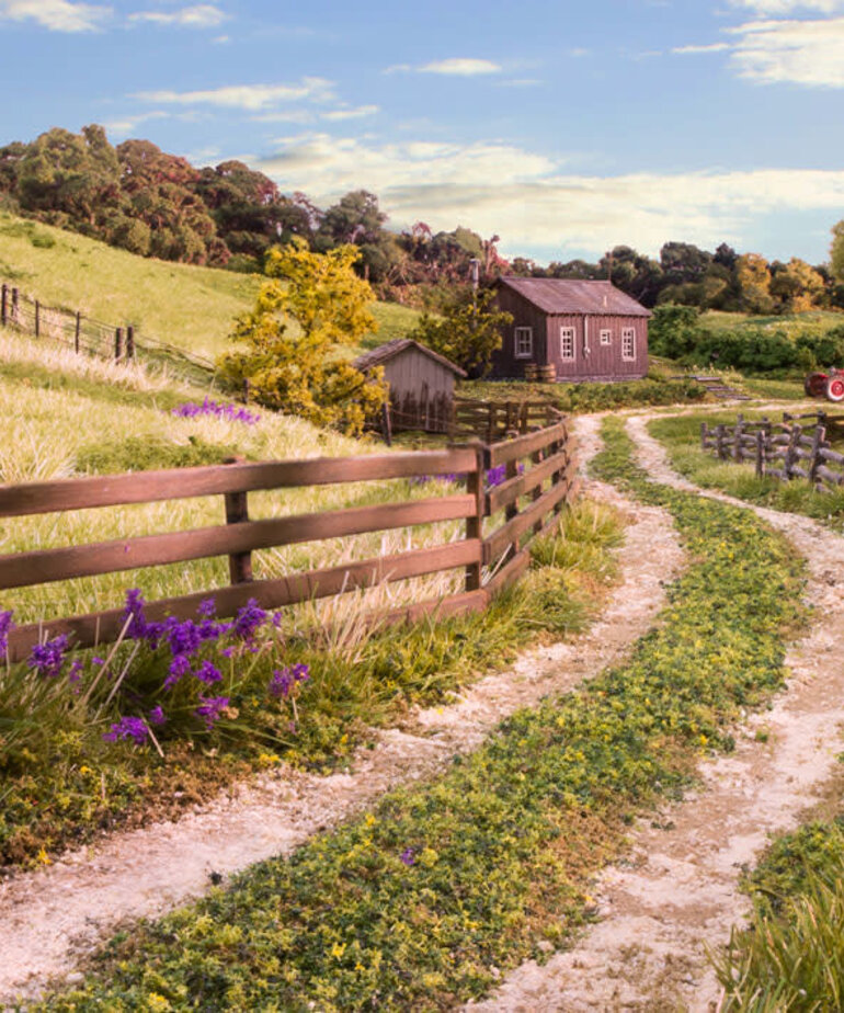 Woodland Scenics Woodland Scenics Rail Fence (8) Set