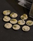 GamersGrass Gamers Grass Battle Ready Bases  Arid Steppe Round 25mm (10)