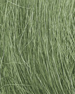 Woodland Scenics Woodland Scenics Field Grass Medium Green 8gr