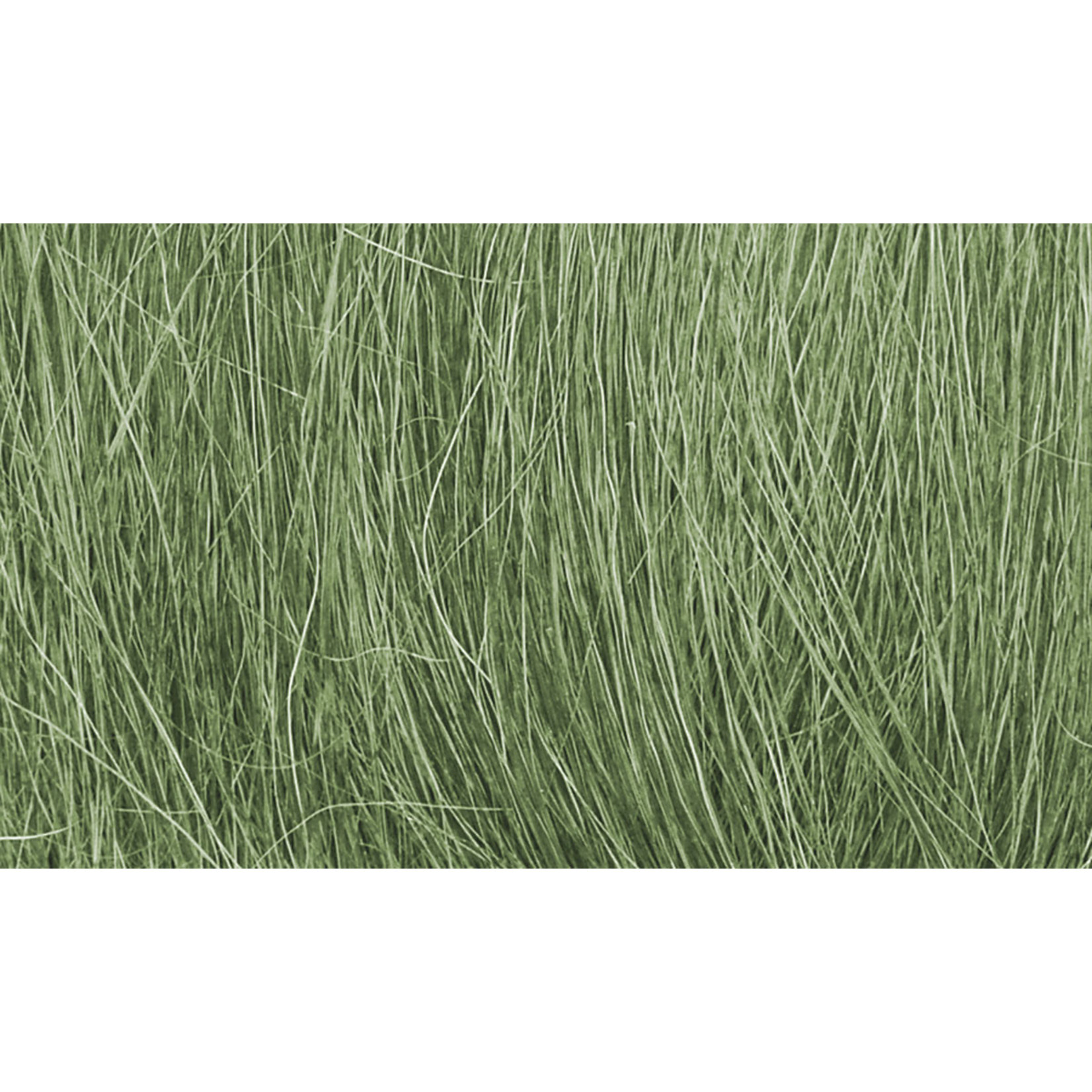 Woodland Scenics Woodland Scenics Field Grass Medium Green 8gr