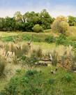 Woodland Scenics Woodland Scenics Field Grass Natural Straw 8gr