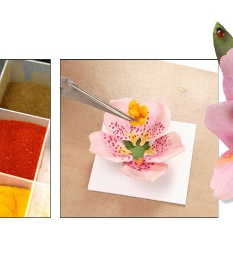 Woodland Scenics Woodland Scenics Pollen Pink