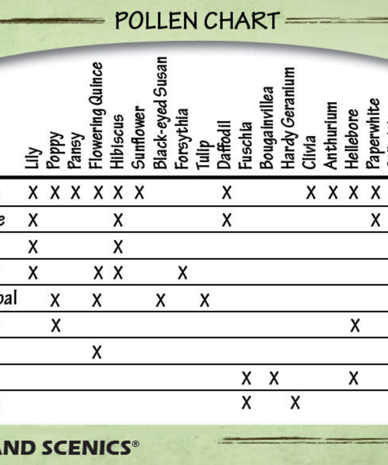 Woodland Scenics Woodland Scenics Pollen Brown