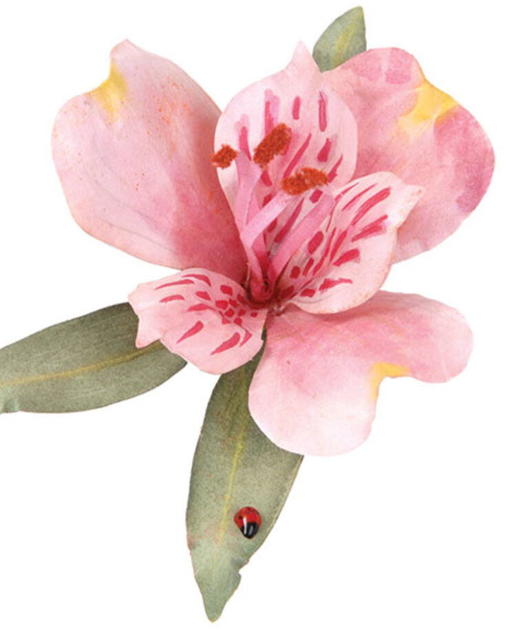 Woodland Scenics Woodland Scenics Pollen Red