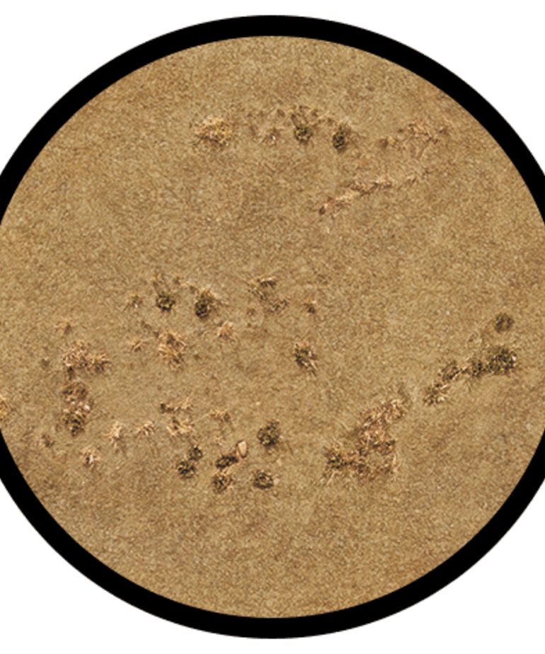 Gale Force Nine GaleForce Nine Battlefield in a Box Two-Sided Neoprene 48" x 72" Desert / Grass Gaming Mat