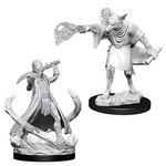 Wizkids Wizkids D&D Nolzur's Marvelous Miniatures: Arcanaloth & Ultraloth (2) Set