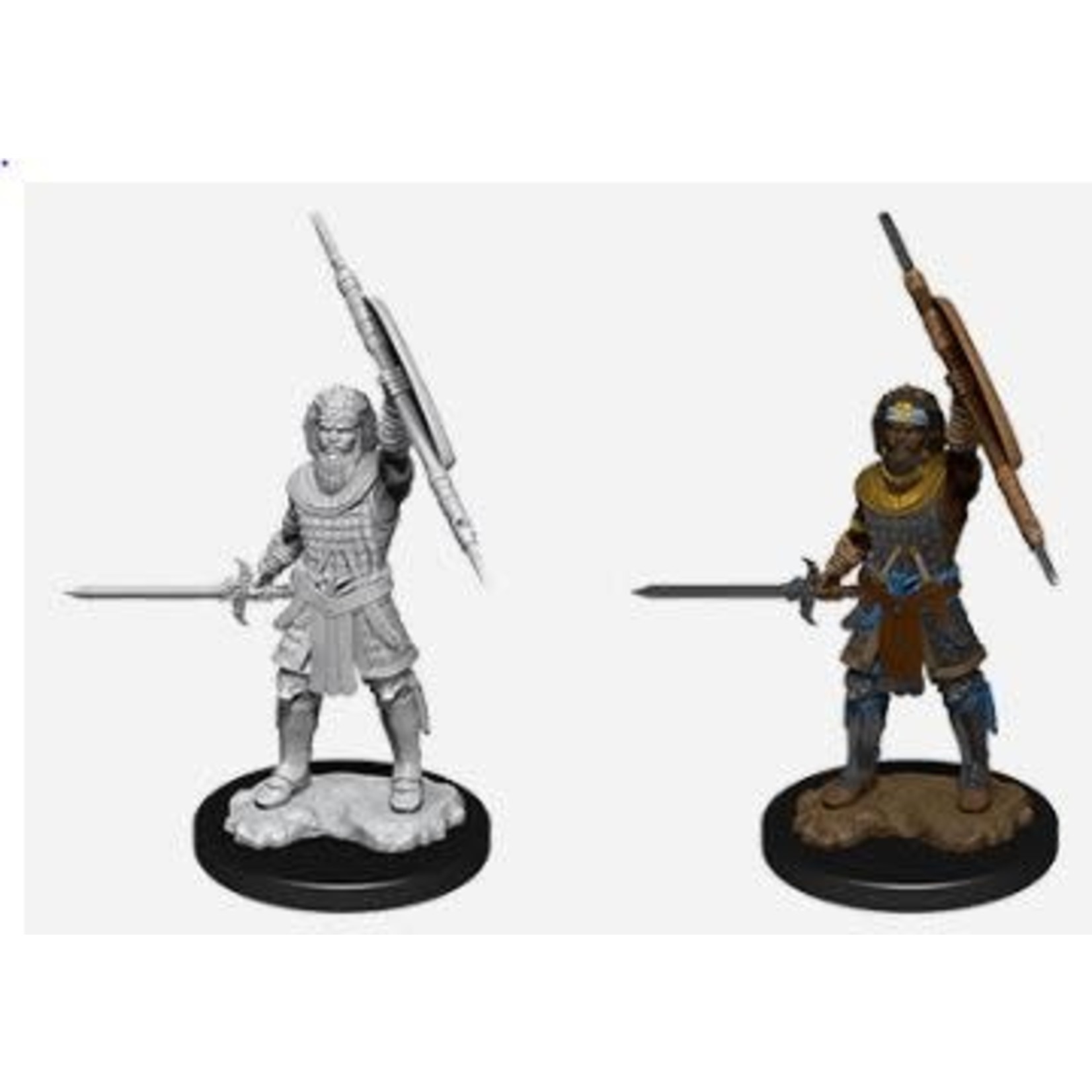 D&D Nolzur's Marvelous Miniatures - Male Human Fighter