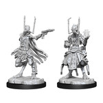 Wizkids Wizkids Starfinder Deep Cuts: Shirren Technomancer (2) Set