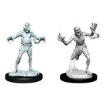 Wizkids Wizkids Critical Role: Husk Zombies (2) Set