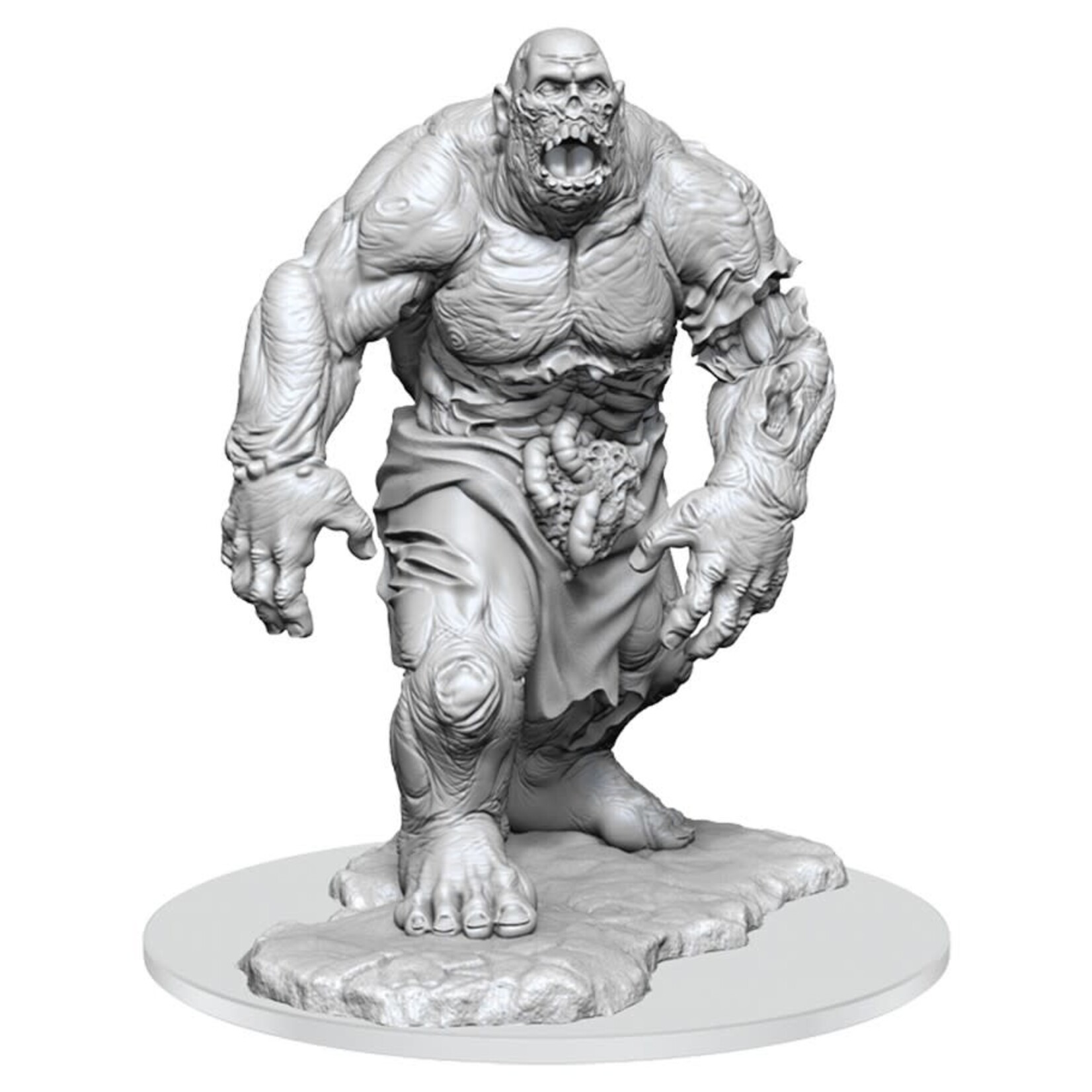 Wizkids Wizkids Pathfinder Deep Cuts: Zombie Hulk (1)