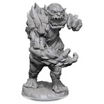 Wizkids Wizkids Pathfinder Deep Cuts: Cavern Troll  (1)