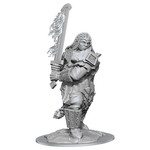 Wizkids Wizkids D&D Nolzur's Marvelous Miniatures: Fire Giant (1)