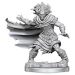 Wizkids Wizkids D&D Frameworks: Wight (1)