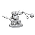 Wizkids Wizkids D&D Frameworks: Ogre (2) Set