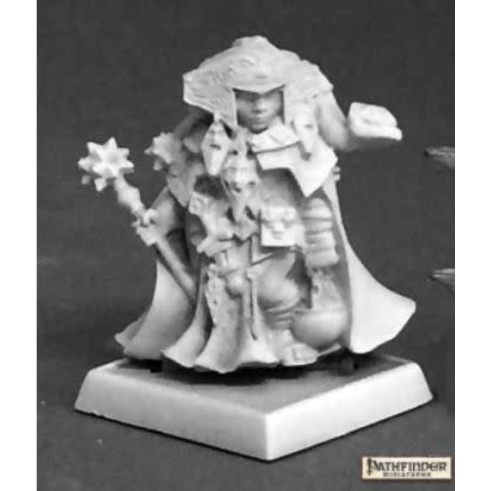 Reaper Reaper (Metal) Pathfinder Miniatures 60180 Sharda, Iconic Shaman (1)