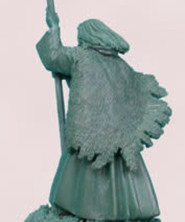 Dark Sword Miniatures Dark Sword Miniatures (Metal) Elmore Masterworks - Wizard's Dragon Male Wizard (1)