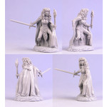 Dark Sword Miniatures Dark Sword Miniatures (Metal) Elmore Masterworks - Female Rogue with Sword (1)