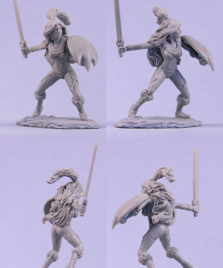 Dark Sword Miniatures Dark Sword Miniatures (Metal) Elmore Masterworks - Amazon Warrior w/ Sword & Shield (1)