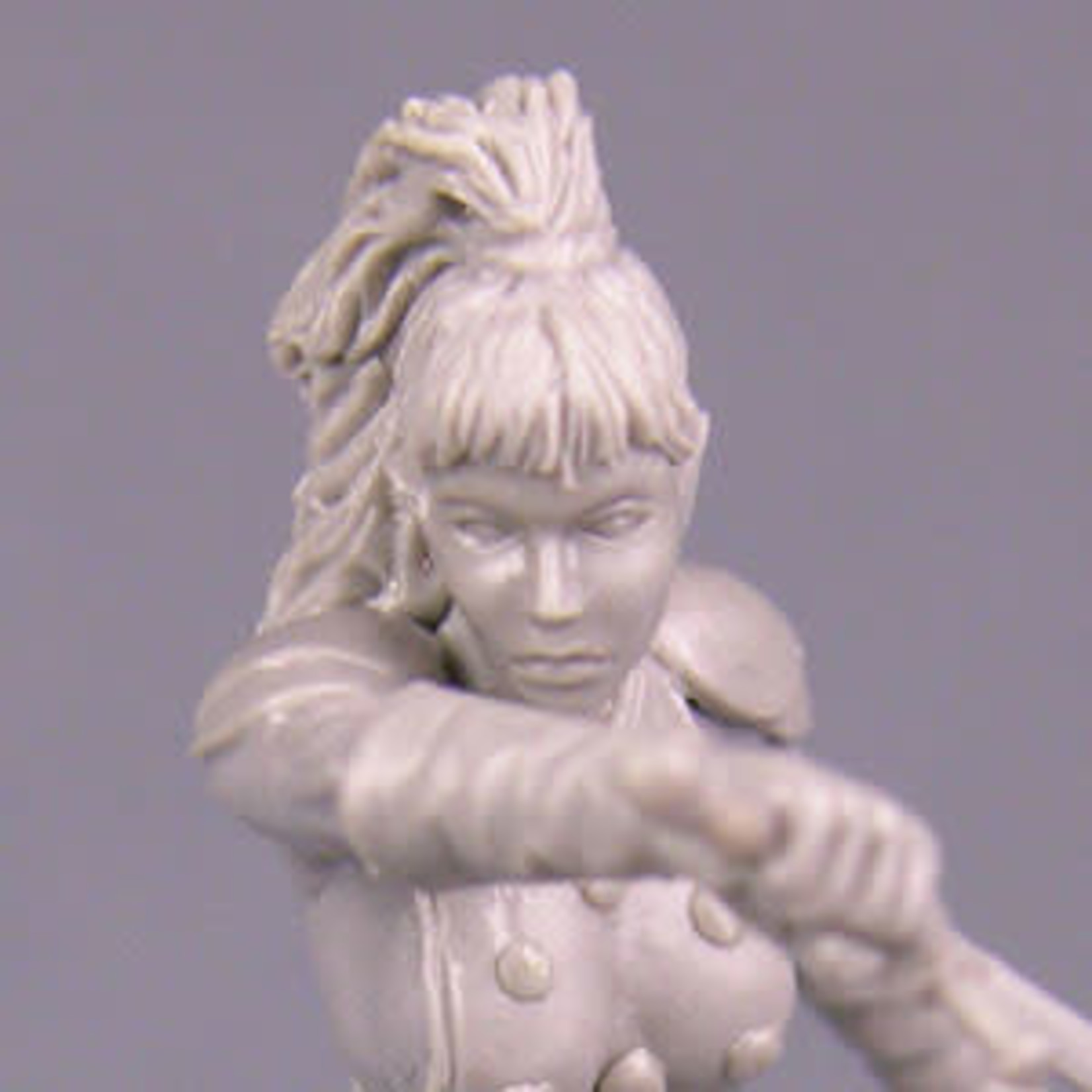 Dark Sword Miniatures Dark Sword Miniatures (Metal) Elmore Masterworks - Female Warrior (1)